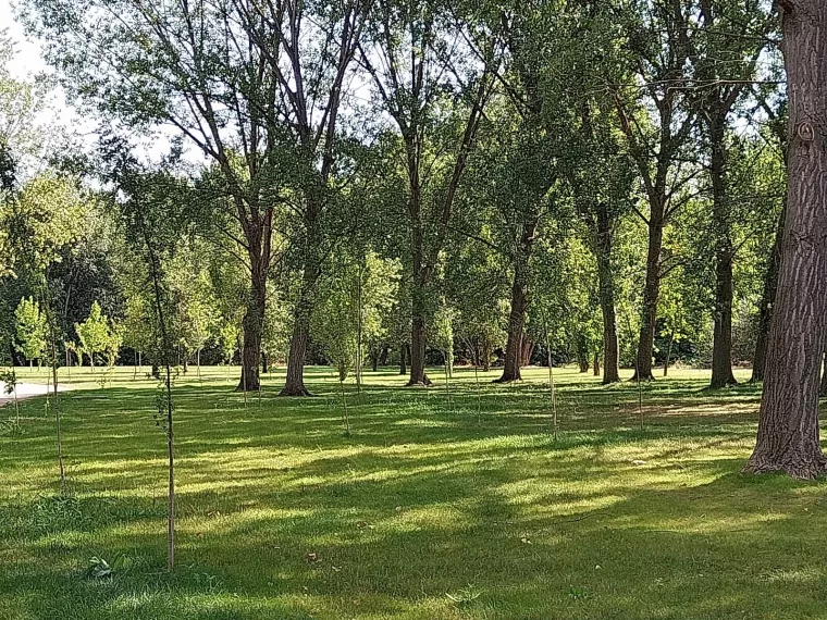 foto Parque Iregua